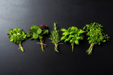 Grup siyah beton zemin üzerine taze otlar