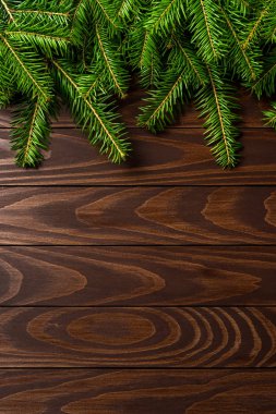 Noel ağacı arka plan. Yakın çekim