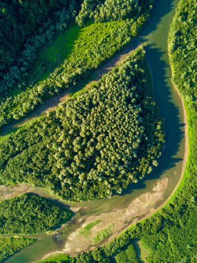 Orman ve nehir havadan görünümü