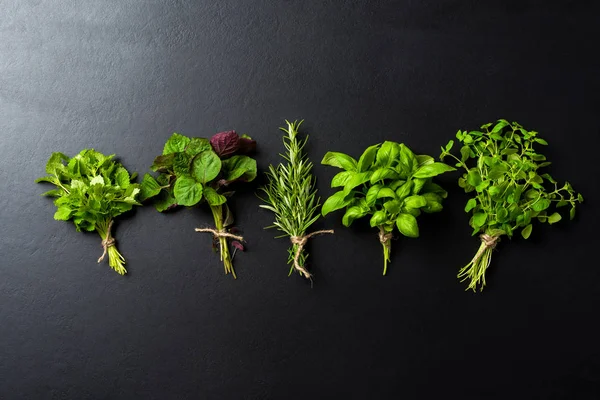 Grup siyah beton zemin üzerine taze otlar