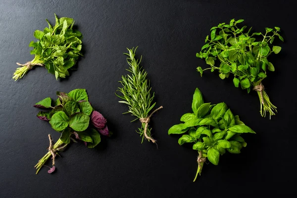 Bir grup siyah beton zemin üzerine taze otlar. Yakın çekim