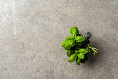 Taş harç havaneli ile içinde taze otlar