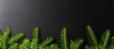 Noel ağacı arka plan. Üstten görünüm