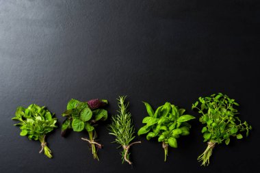 Taze ot ve baharat karışımı