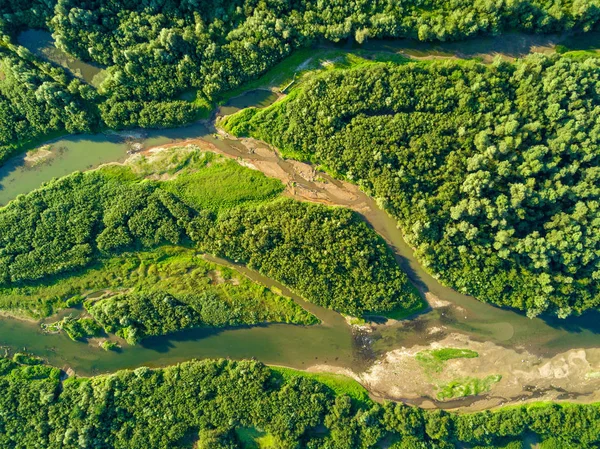 Luchtfoto Van Bos Rivier — Stockfoto