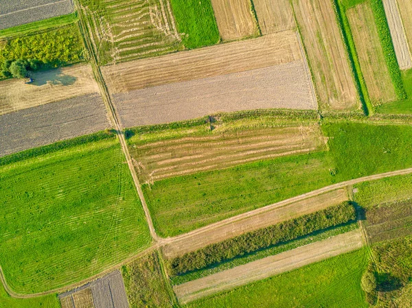 Luchtfoto Van Landbouwgebieden — Stockfoto