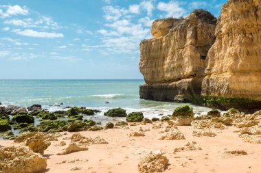 Güzel kumsalları, Turkuaz okyanus ve mavi gökyüzü