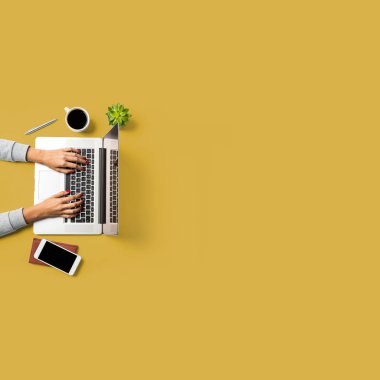 İş geçmişi ile dizüstü bilgisayarda çalışan kadın. Kopya alanı