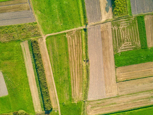 農地の空中風景 — ストック写真