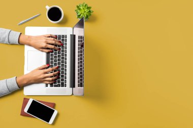 Dizüstü bilgisayarda çalışan kadın. İş geçmişi