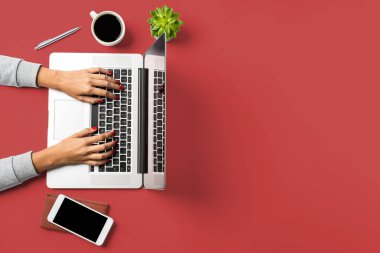 Dizüstü bilgisayarda çalışan kadın