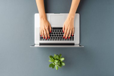 Dizüstü bilgisayarda çalışan kadın elleri. İş geçmişi. Üst görünüm