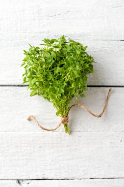 Eski tarz beyaz ahşap arka planda taze fesleğen. Kapat.