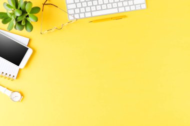 Kopyalama alanı olan kadın aksesuarlarıyla iş geçmişi