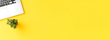 Dizüstü bilgisayarı ve küçük yeşil santrali olan bir ofis masası. Zarif çalışma alanı. Pankart