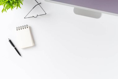 Modern bilgisayar monitörü ve beyaz arka planda küçük bir çiçek. Üst görünüm