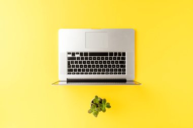 Laptop ve yeşil çiçekli iş geçmişi kavramı. Ofis masaüstü