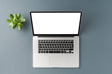 Boş ekran ve gri masaüstünde yeşil çiçek olan dizüstü bilgisayarın yukarıdaki görüntüsü. İş geçmişi. Düz yatıyordu