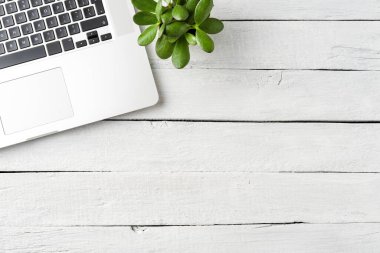 Beyaz ahşap arka planda yeşil sulu laptopu olan modern bir bilgisayar. Ofis masaüstü. Üst görünüm