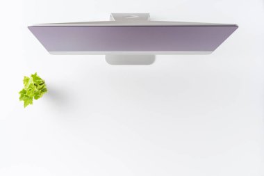 Beyaz masadaki yeşil çiçekli bilgisayarın yukarıdan görüntüsü. Ofis masaüstü konsepti. Düz yatıyordu