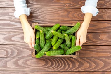 Kadın elleri ahşap kutu ve salatalık tutuyor. Üst görünüm