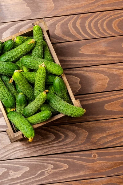 Komkommers Houten Tafel Sluiten — Stockfoto