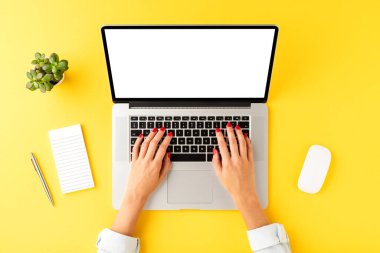 İş kadını boş ekranlı dizüstü bilgisayar kullanıyor. Aksesuarlarla iş geçmişi. Üst görünüm