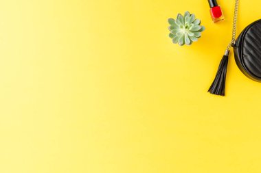 Kadın çantası, tırnak cilası ve arka planda kopyalanmış küçük bir çiçek resmi. Moda geçmişi. Düz yatıyordu