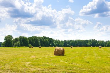Birçok yaz bulutlu gün ormanıyla çevrili alan üzerinde saman yığını