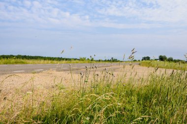 Bulutlu yaz günü, kırsal kesimde emty yol arka plan üzerinde çeşitli alan bitkiler