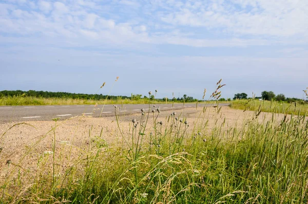 Bulutlu yaz günü, kırsal kesimde emty yol arka plan üzerinde çeşitli alan bitkiler