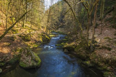 Çek Cumhuriyeti'nde bohem İsviçre Ulusal Parkı