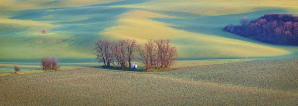 Región Moravia Del Sur Campos Verdes Primavera República Checa —  Fotos de Stock
