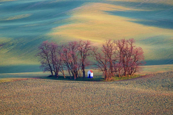 South Moravia Region Green Fields in the Spring, Czech Republic