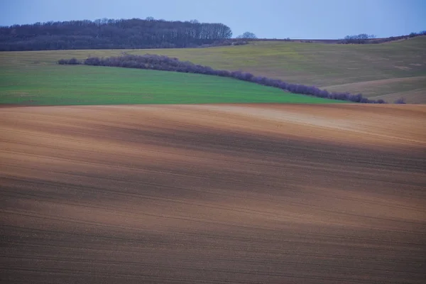 Südmährische Felder Frühling Tschechische Republik — Stockfoto