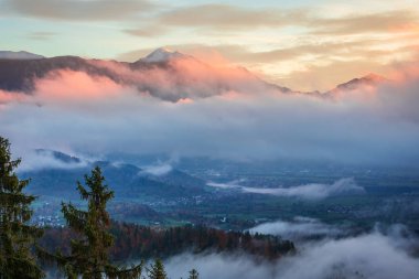 Lake Bled Julian Alps Kuzeybatı Slovenya, nerede Bled şehir bitişik üst Carniolan bölgesinin gölüdür. Alan bir turistik yer.