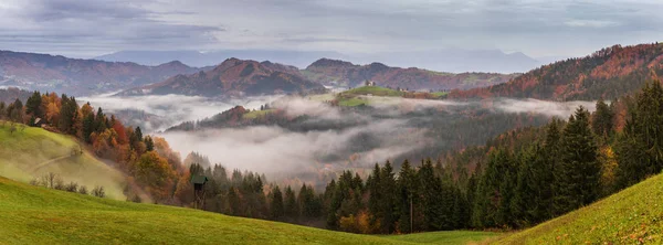 Sveti Tomaz Slovenya Belediyesi Skofja Loka Üst Carniola bölgesinde küçük bir yerleşim olduğunu
