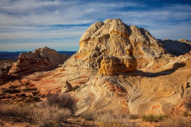 Beyaz cep, Vermilion Cliffs Ulusal Anıtı, ABD