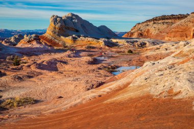 Beyaz cep, Vermilion Cliffs Ulusal Anıtı, ABD