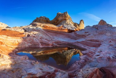 Beyaz cep, Vermilion Cliffs Ulusal Anıtı, ABD