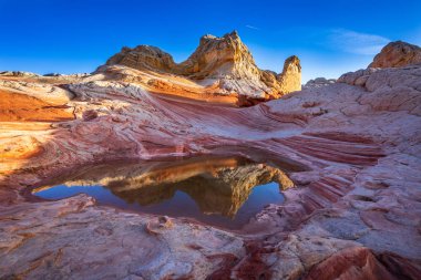 Beyaz cep, Vermilion Cliffs Ulusal Anıtı, ABD