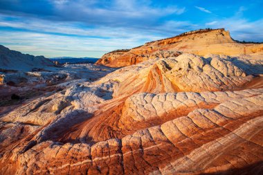 Beyaz cep, Vermilion Cliffs Ulusal Anıtı, ABD