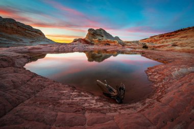 Beyaz cep, Vermilion Cliffs Ulusal Anıtı, ABD