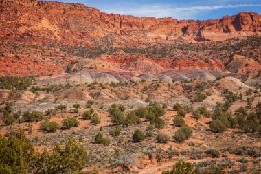 Utah ve Arizona 'da renkli kanyonlar