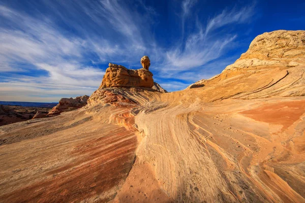 Vit Ficka Vermilion Cliffs National Monument Usa — Stockfoto