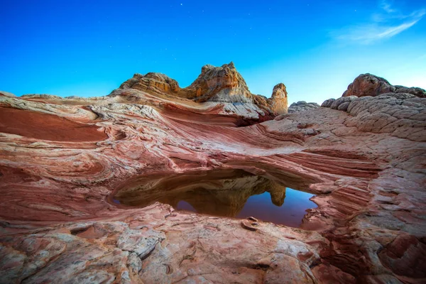 Vit Ficka Vermilion Cliffs National Monument Usa — Stockfoto