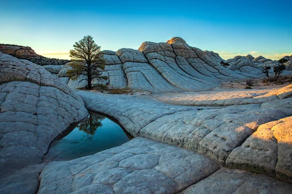 Vit Ficka Vermillion Cliffs — Stockfoto