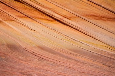 Dalga Vermillion Cliffs Arizona, Amerika Birleşik Devletleri