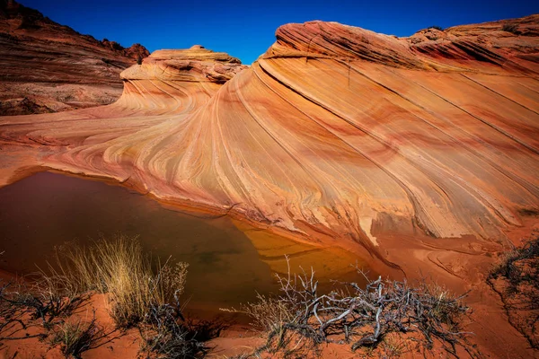 Хвиля Vermillion Скелі Арізона Сша — стокове фото