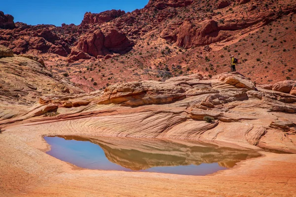 Wave Vermillion Cliffs Arizona Usa — Stock Photo, Image